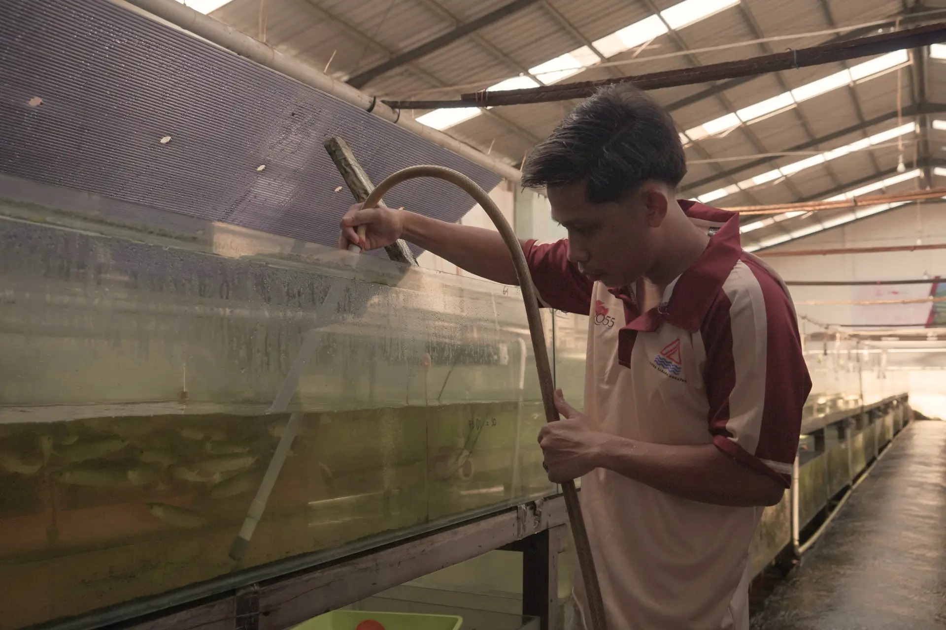 Warehouse & Growth 4