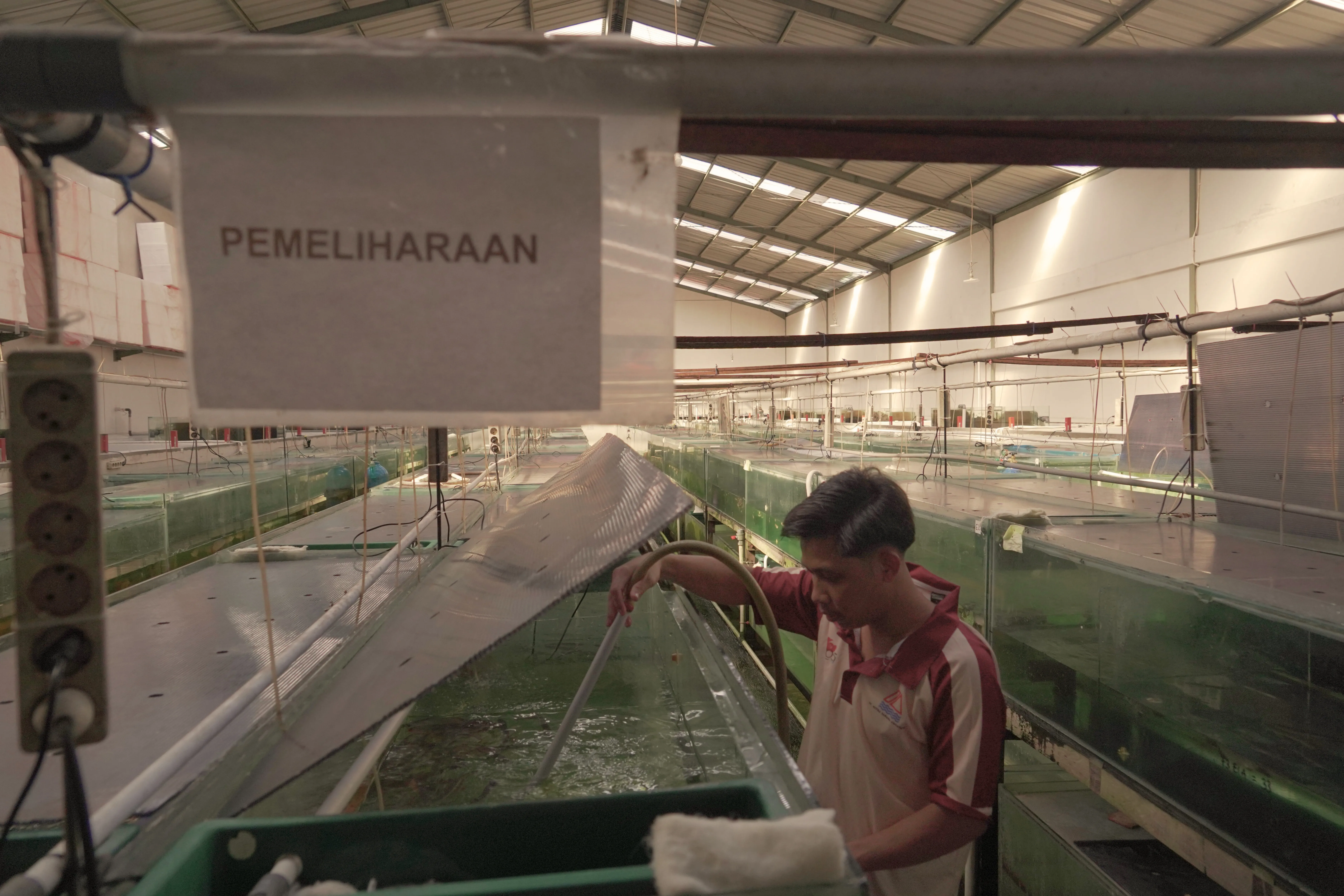 Warehouse & Growth 5