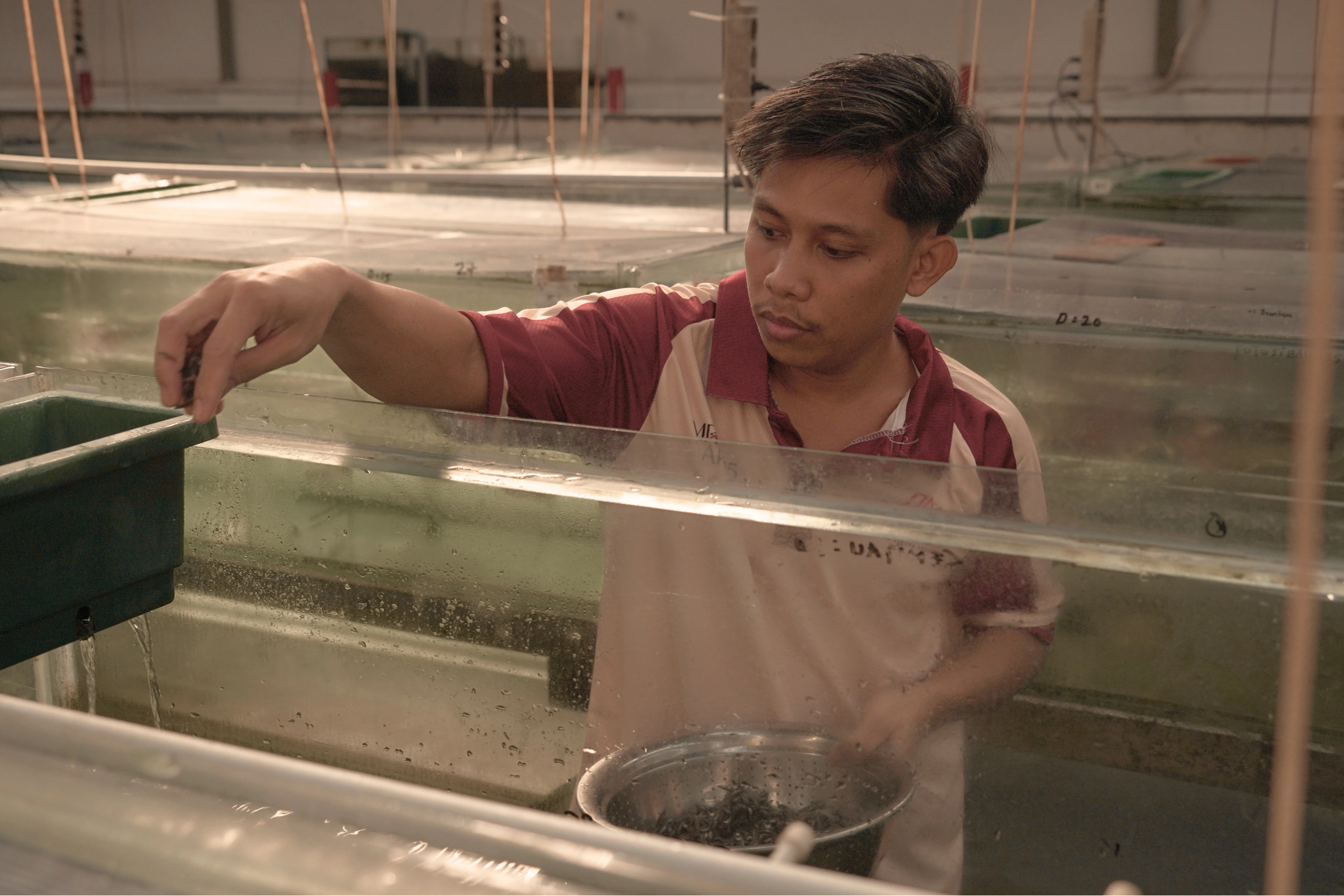 Warehouse & Growth 6