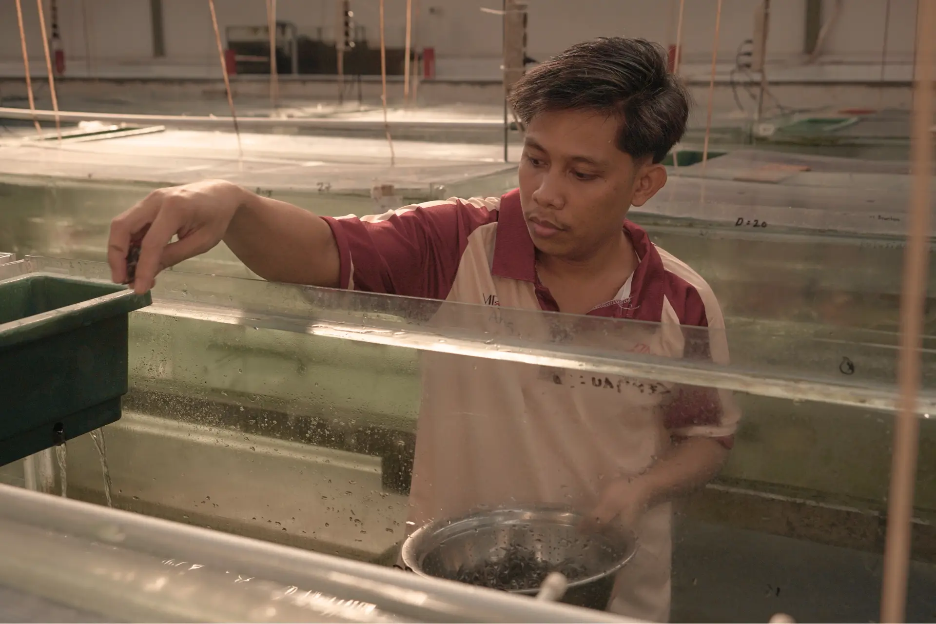 Warehouse & Growth 6