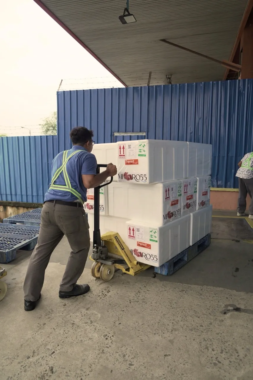 Export cargo shipment