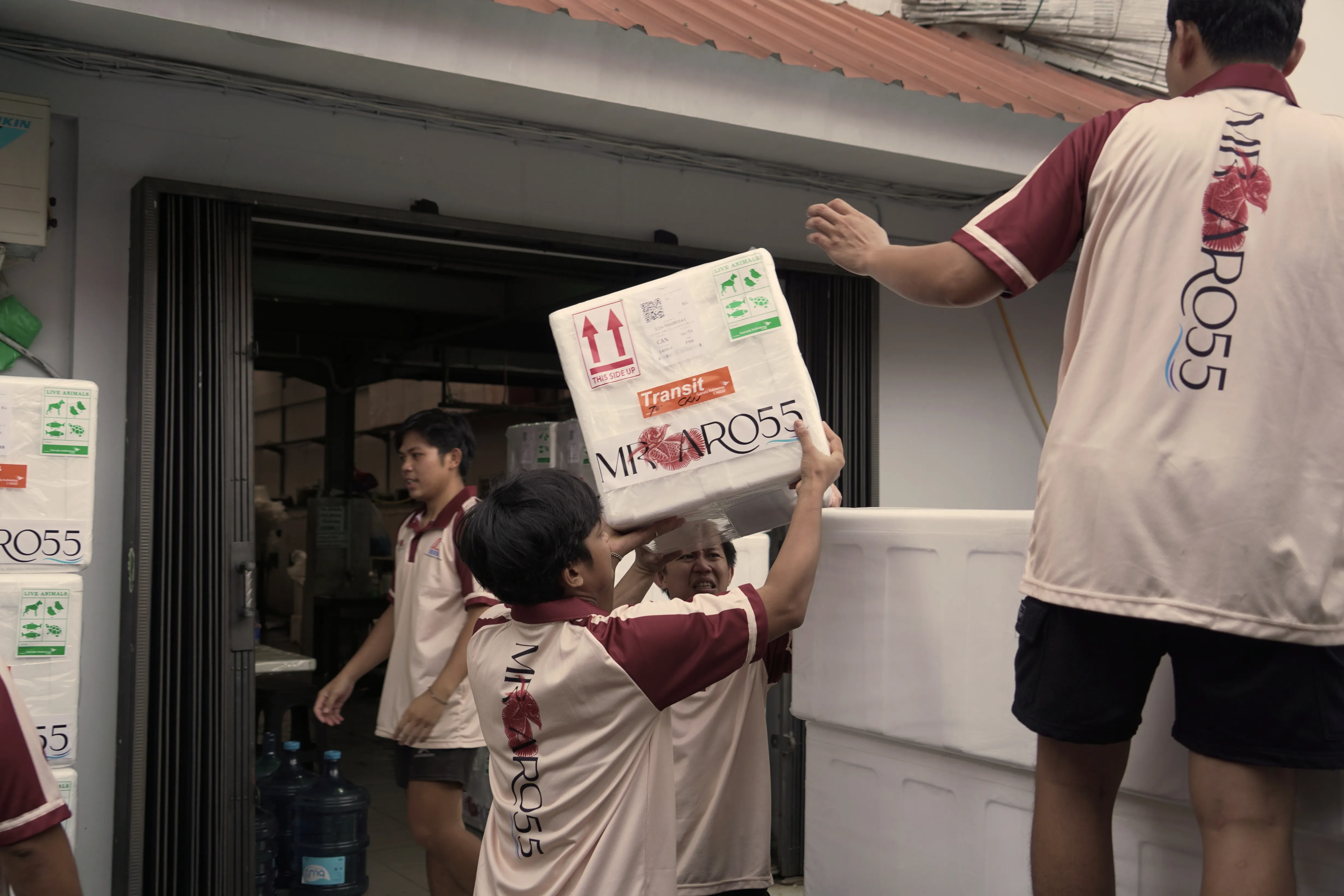 Packing & Logistics 1