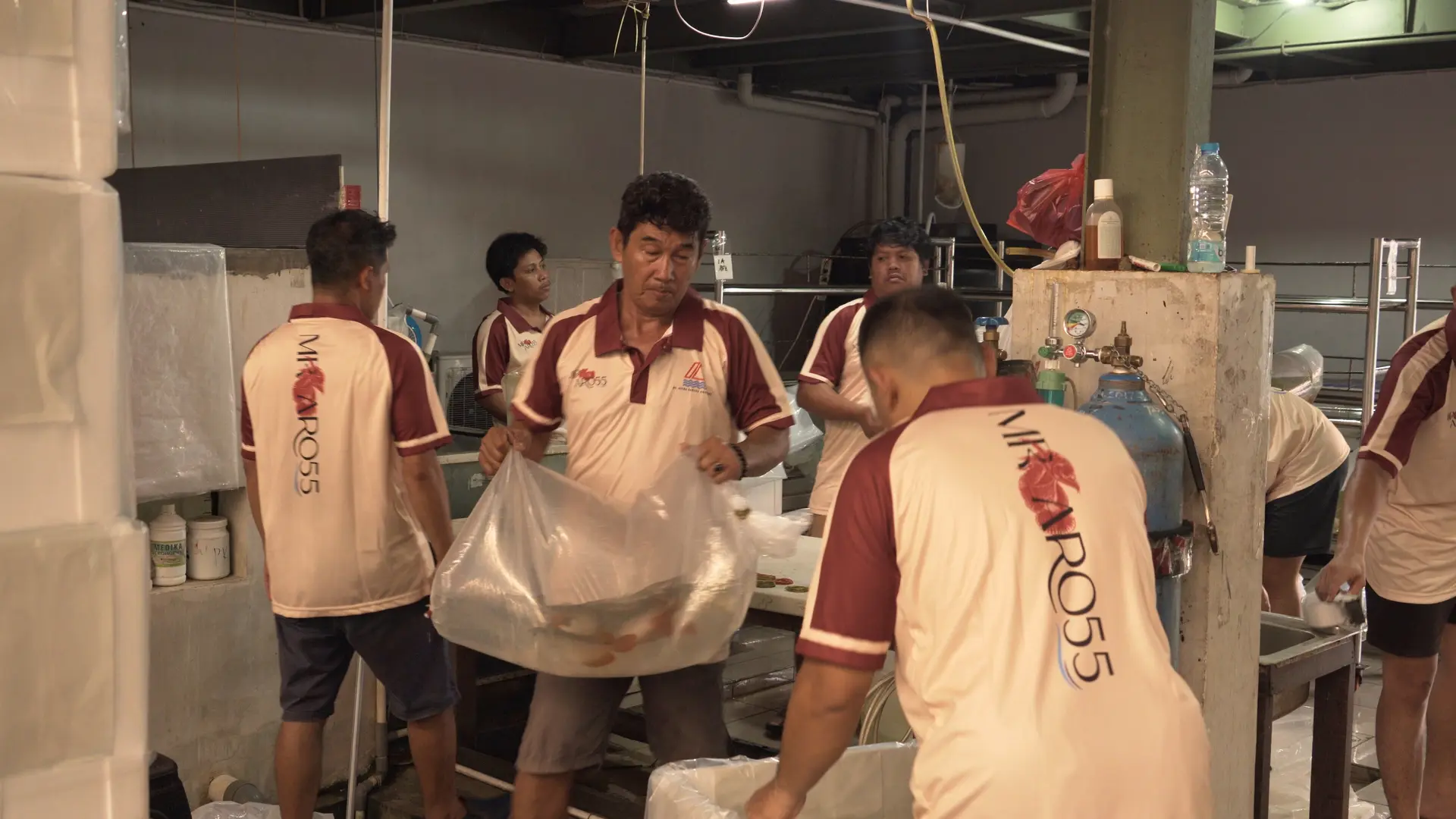 Packing & Logistics 1