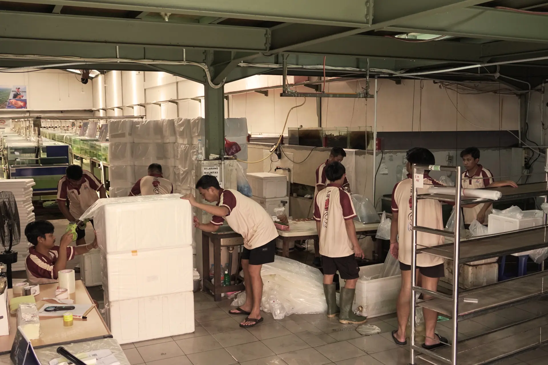 Packing for partnership