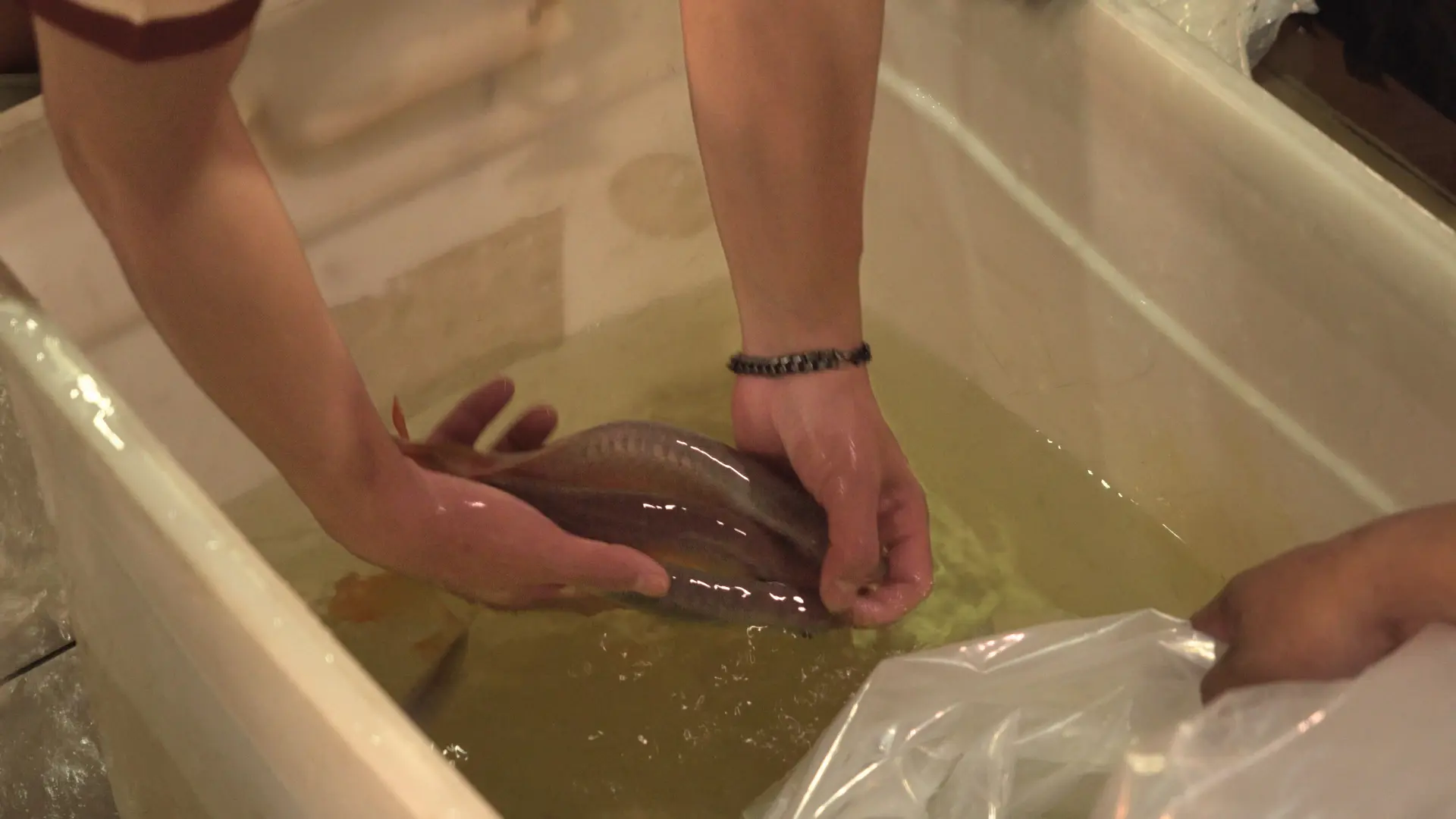 Packing & Logistics 3