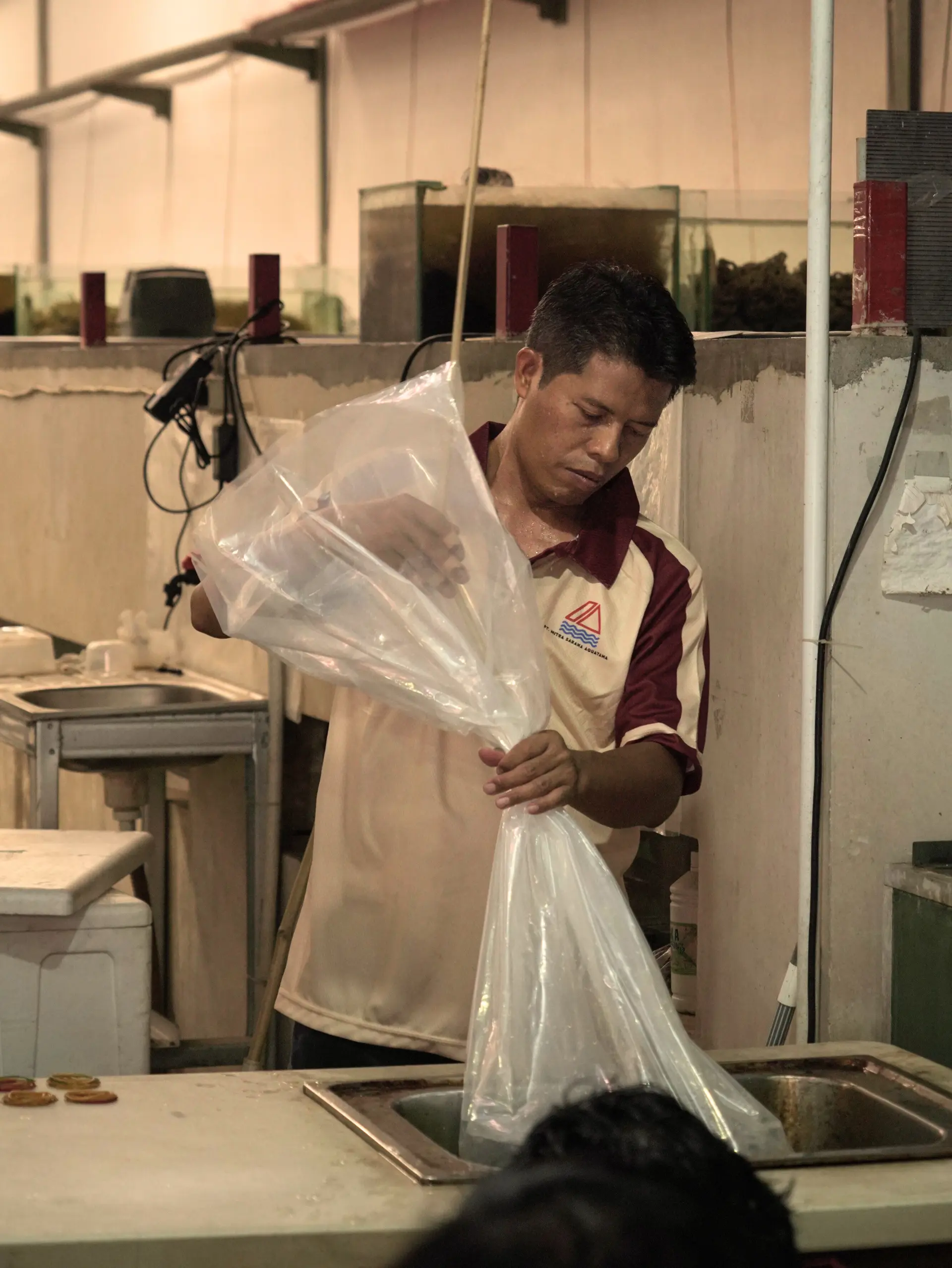 Packing & Logistics 4