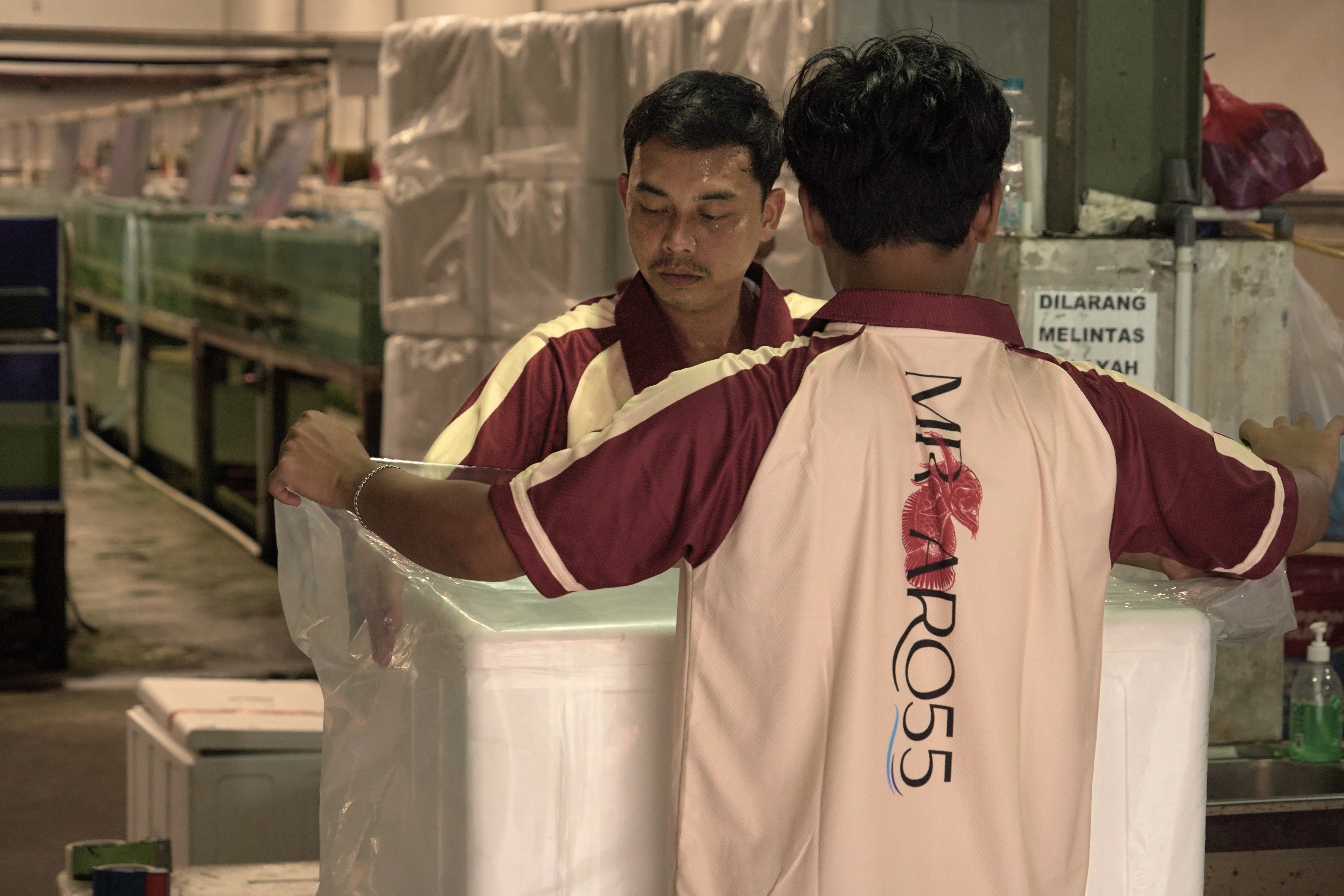 Packing & Logistics 5