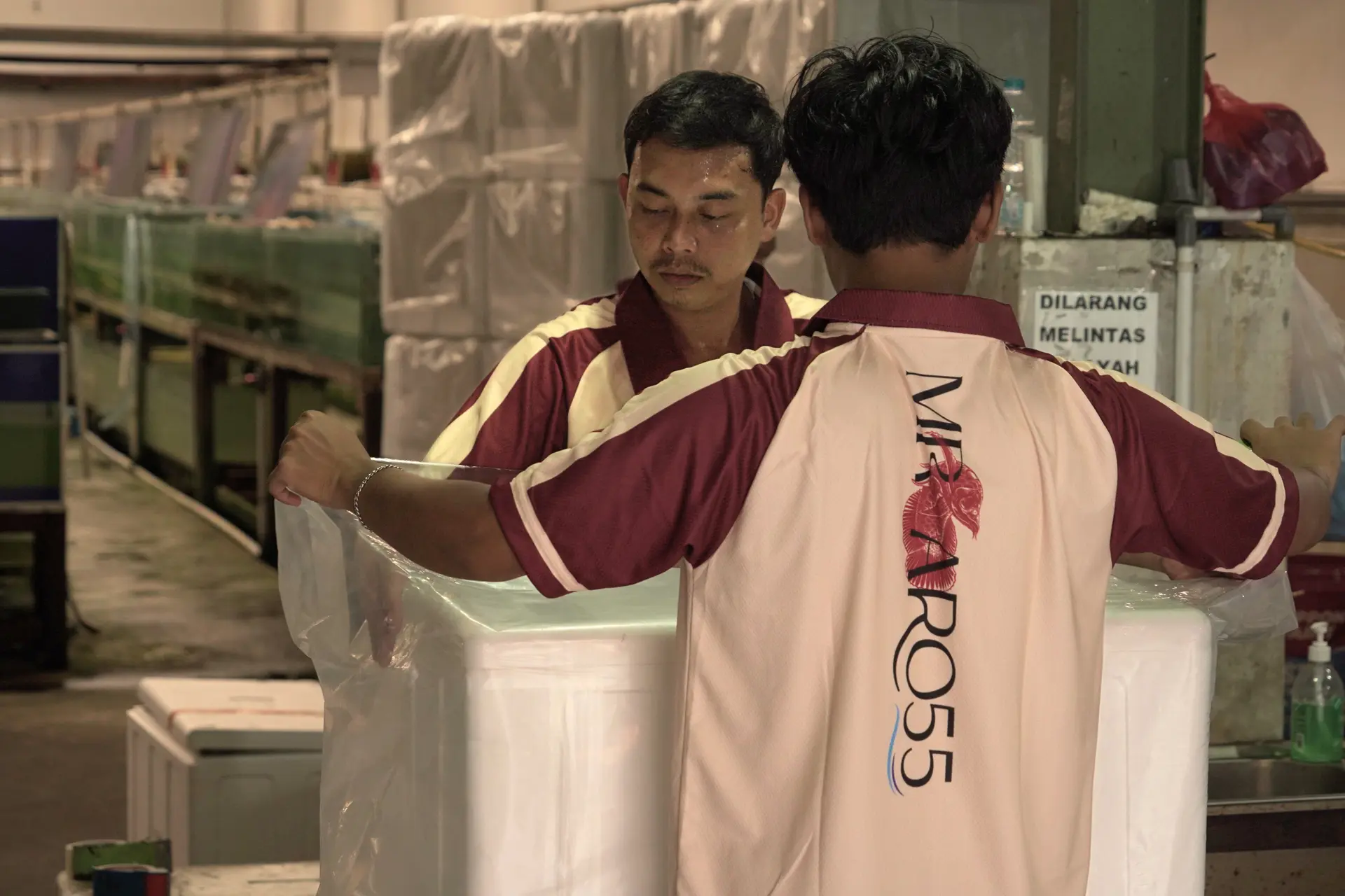 Packing & Logistics 5