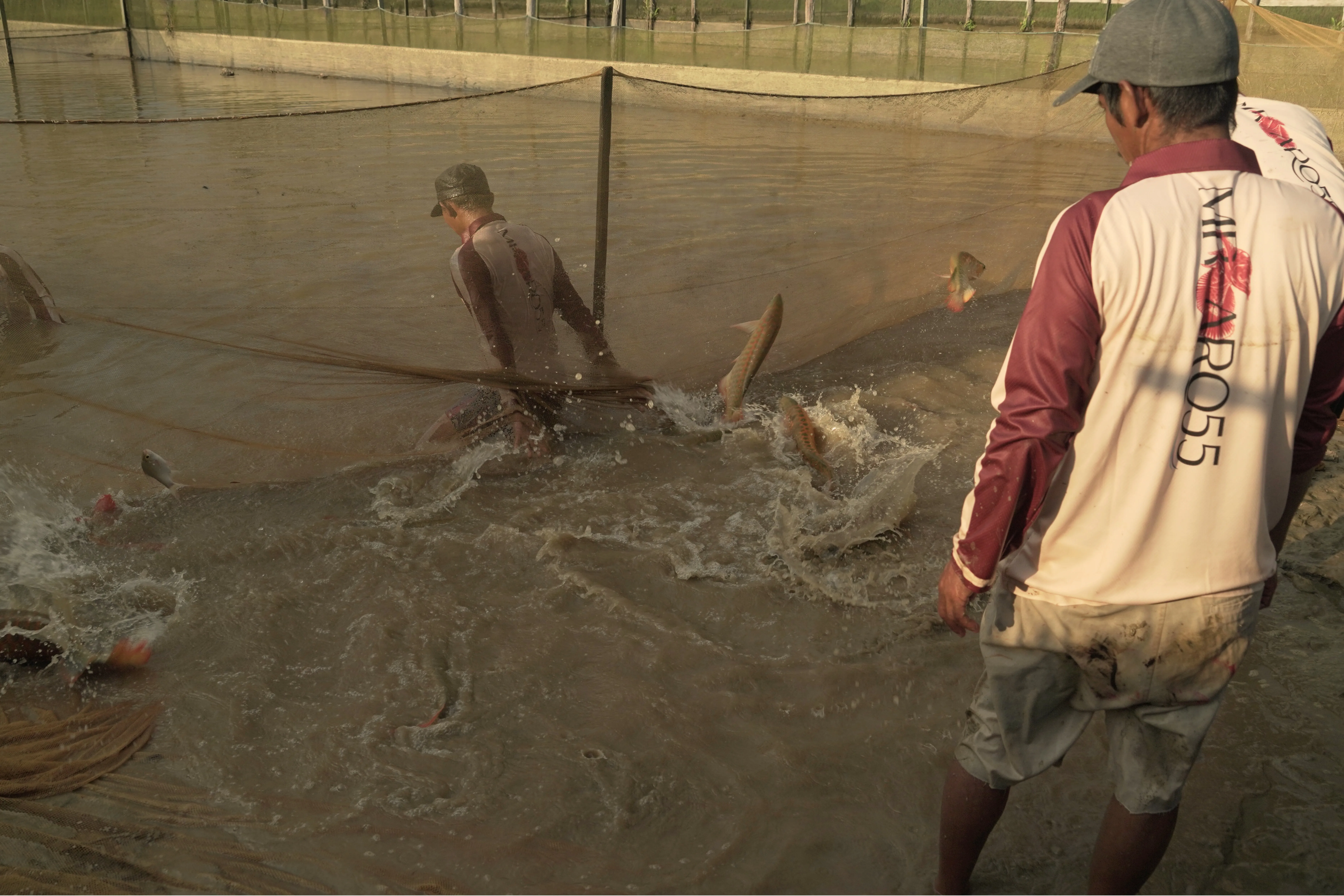 Large-scale production