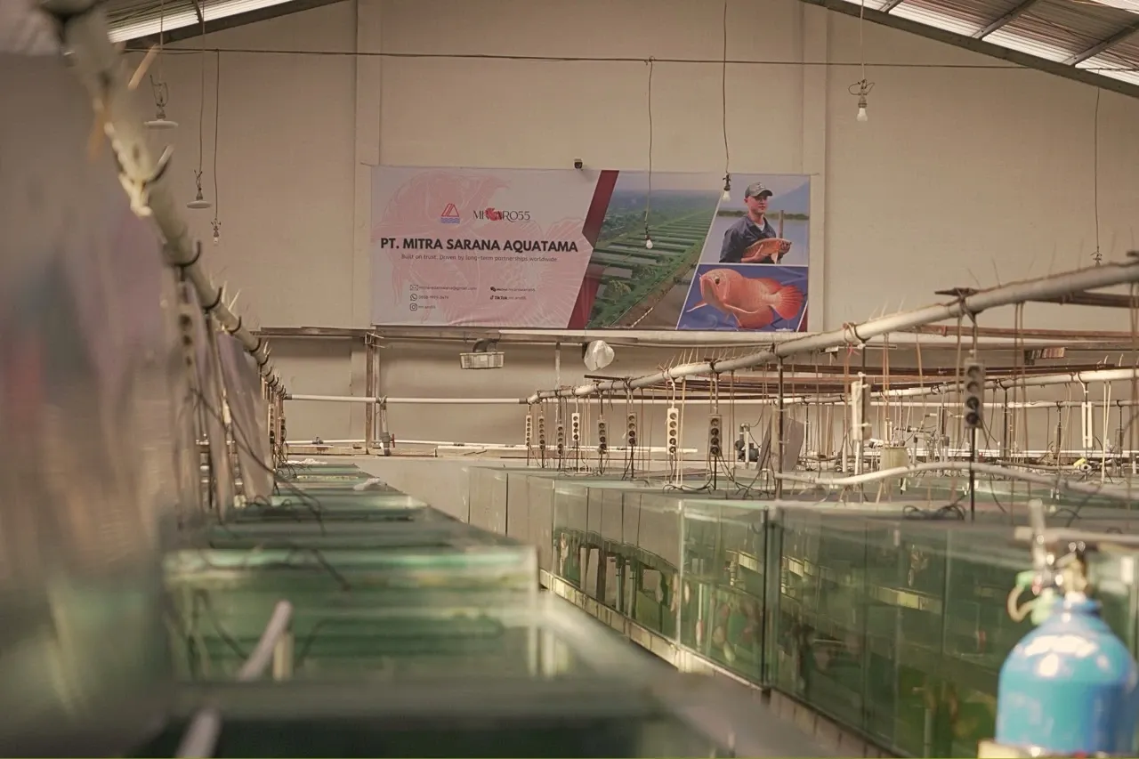 Warehouse & Growth 1