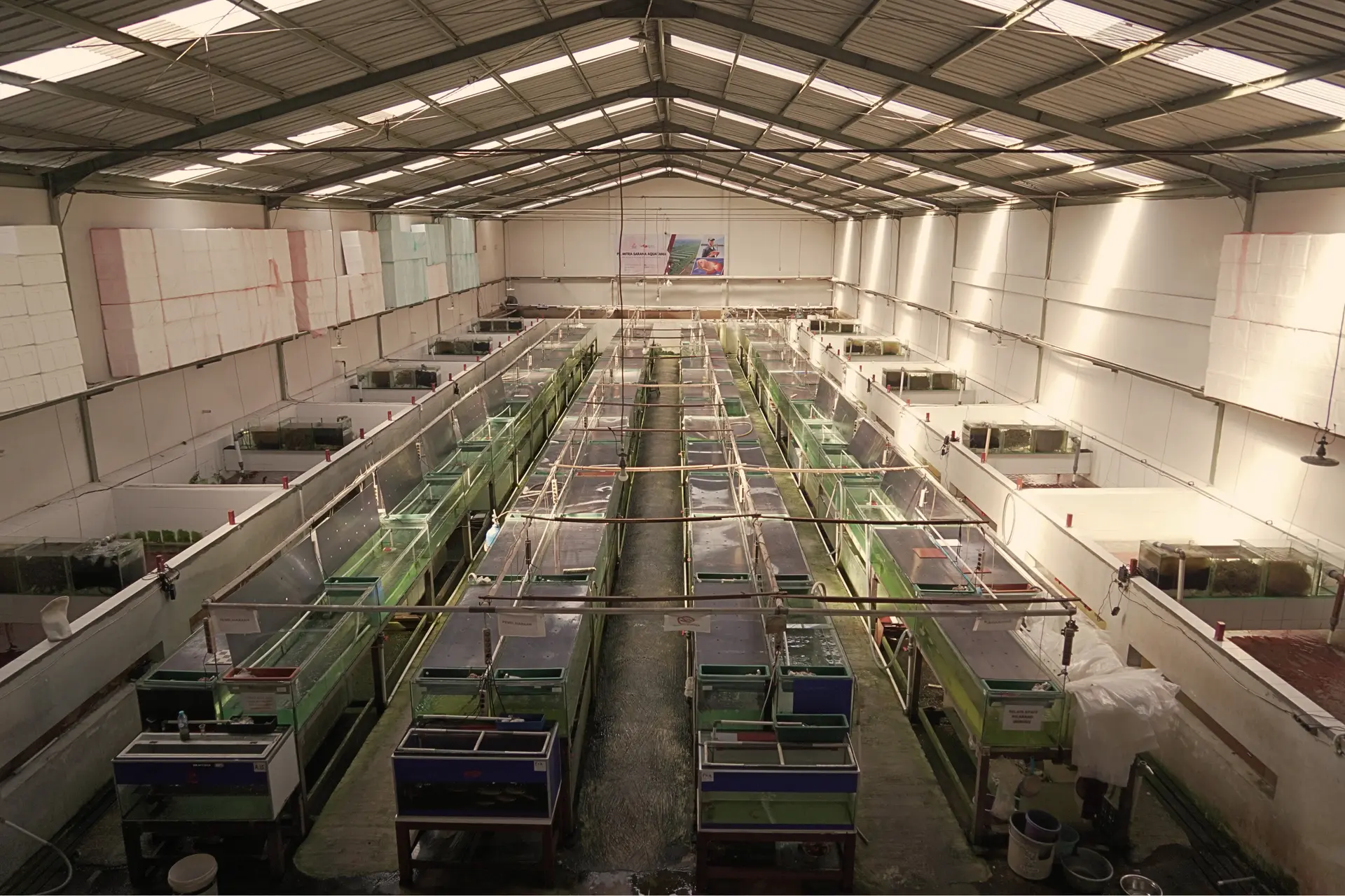 Warehouse & Growth 1