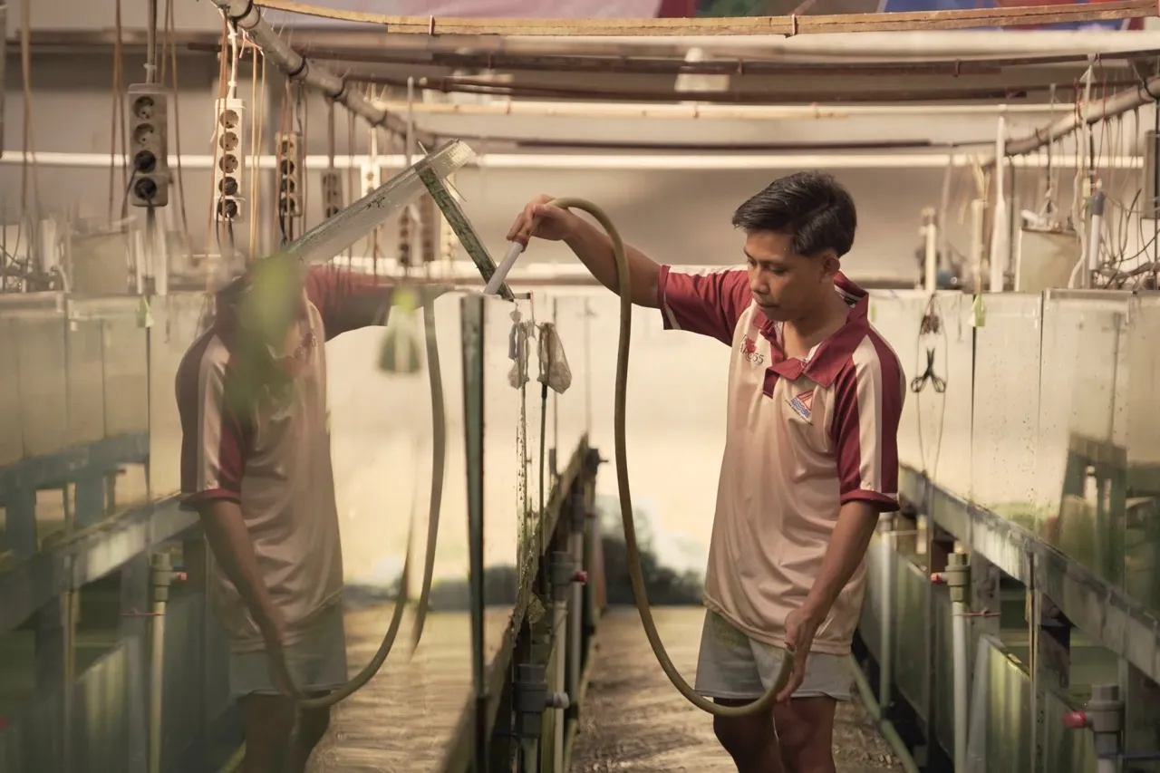 Warehouse & Growth 2