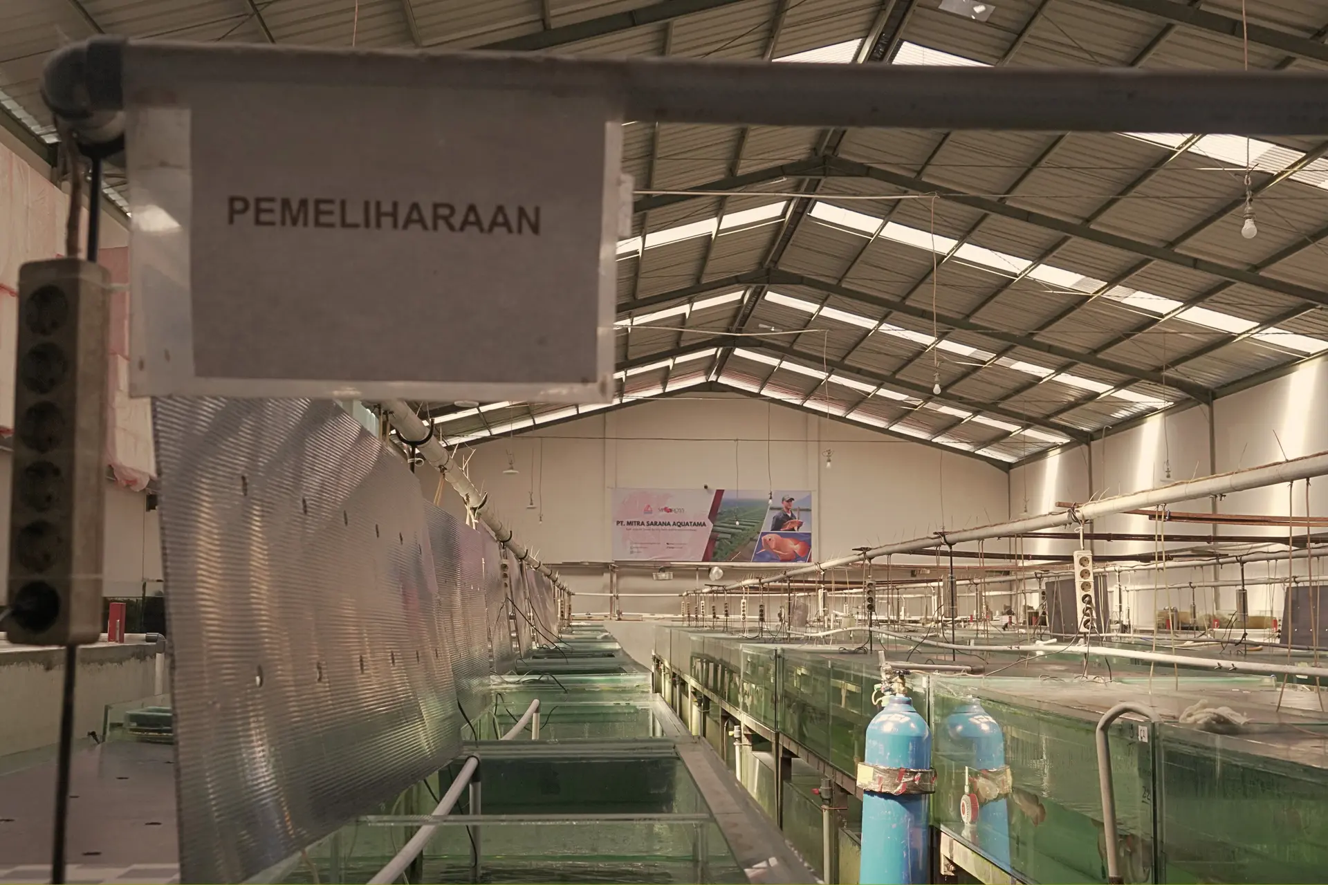 Warehouse & Growth 3